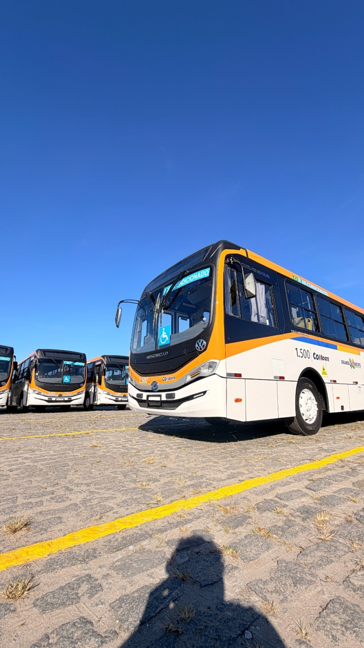 Governo de Pernambuco coloca 50 novos ônibus climatizados em circulação na Região Metropolitana do Recife