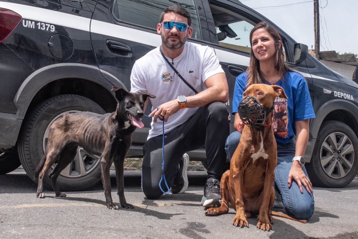 Andreza e Romero realizam “Grande Encontro da Tropa da Causa Animal” nesta sexta-feira (25), no Recife