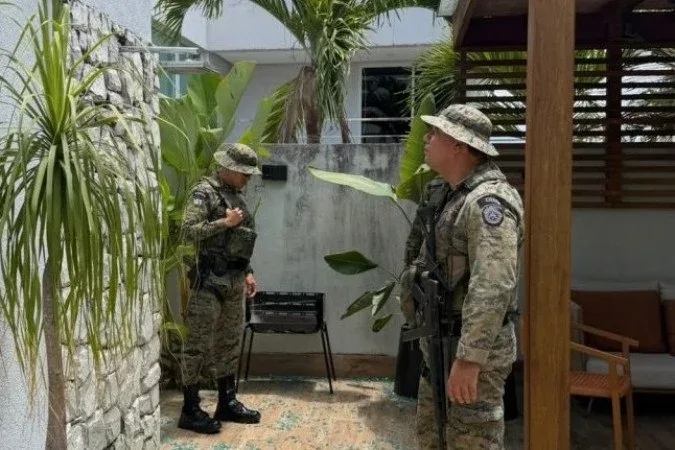 Macaco-prego invade casas, bebe álcool e fere pessoas na Bahia