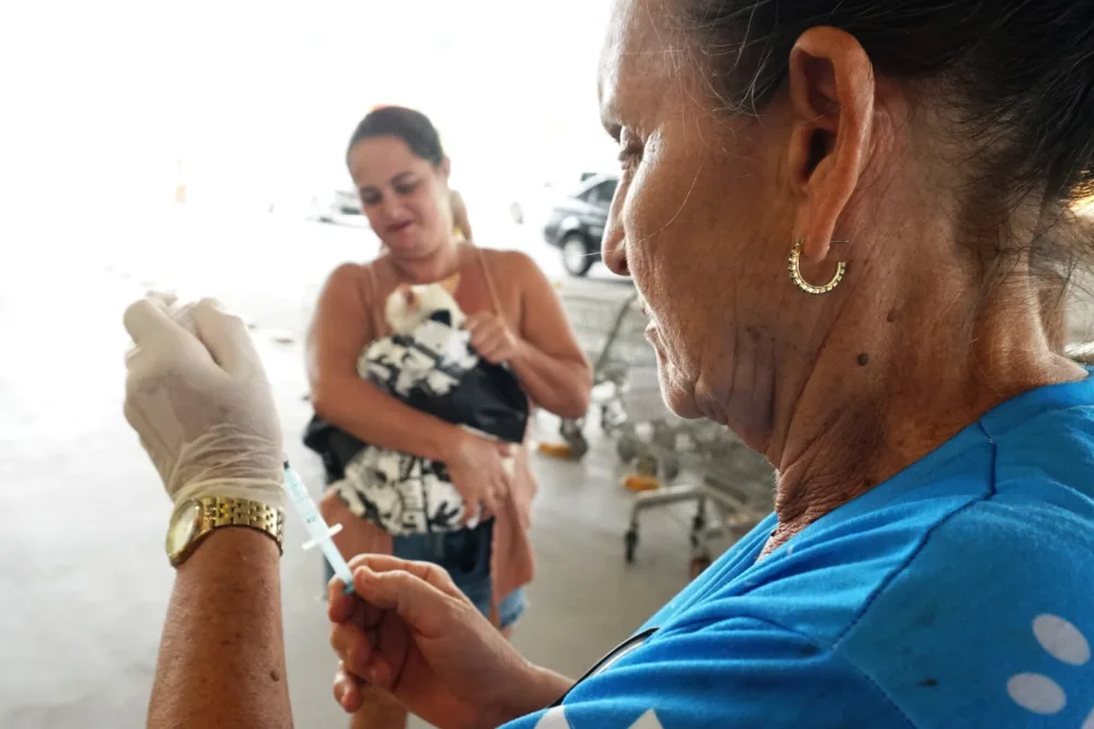 Prefeitura do Paulista reforça imunização de cães e gatos durante pré-campanha de vacinação antirrábica