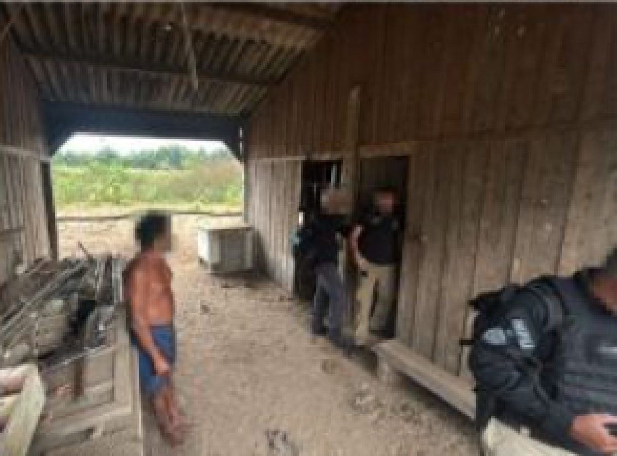 Idoso de 65 é resgatado de trabalho análogo à escravidão; vítima dormia com porcos