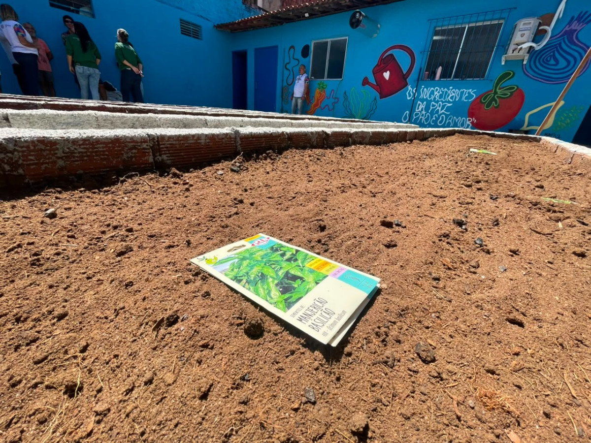 Paulista inicia nova etapa de plantio na horta da cozinha comunitária Josué de Castro