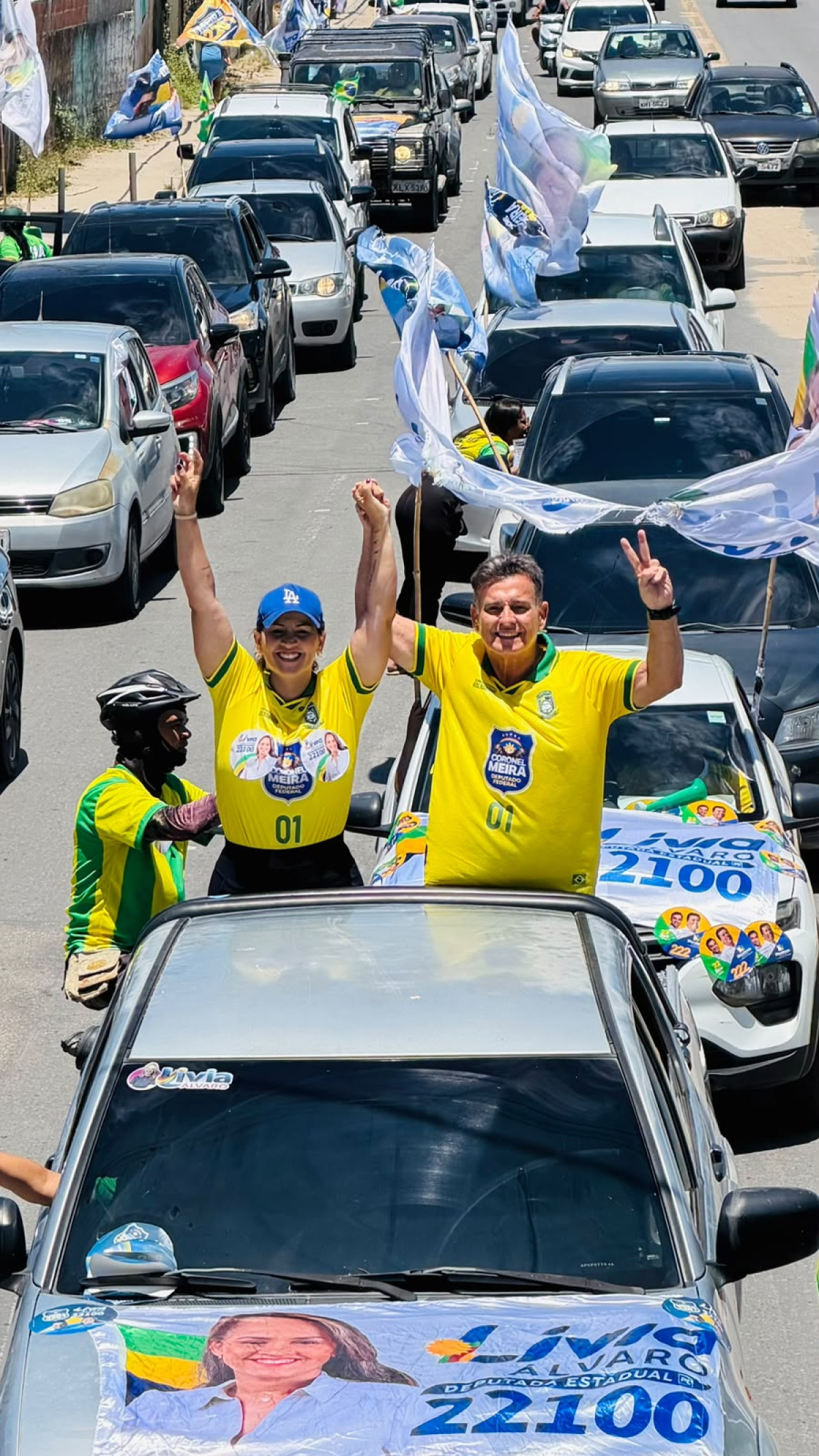 Divulgação