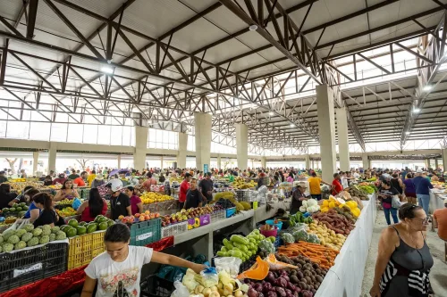 Central de Feiras funcionará normalmente na segunda-feira, 12 de outubro