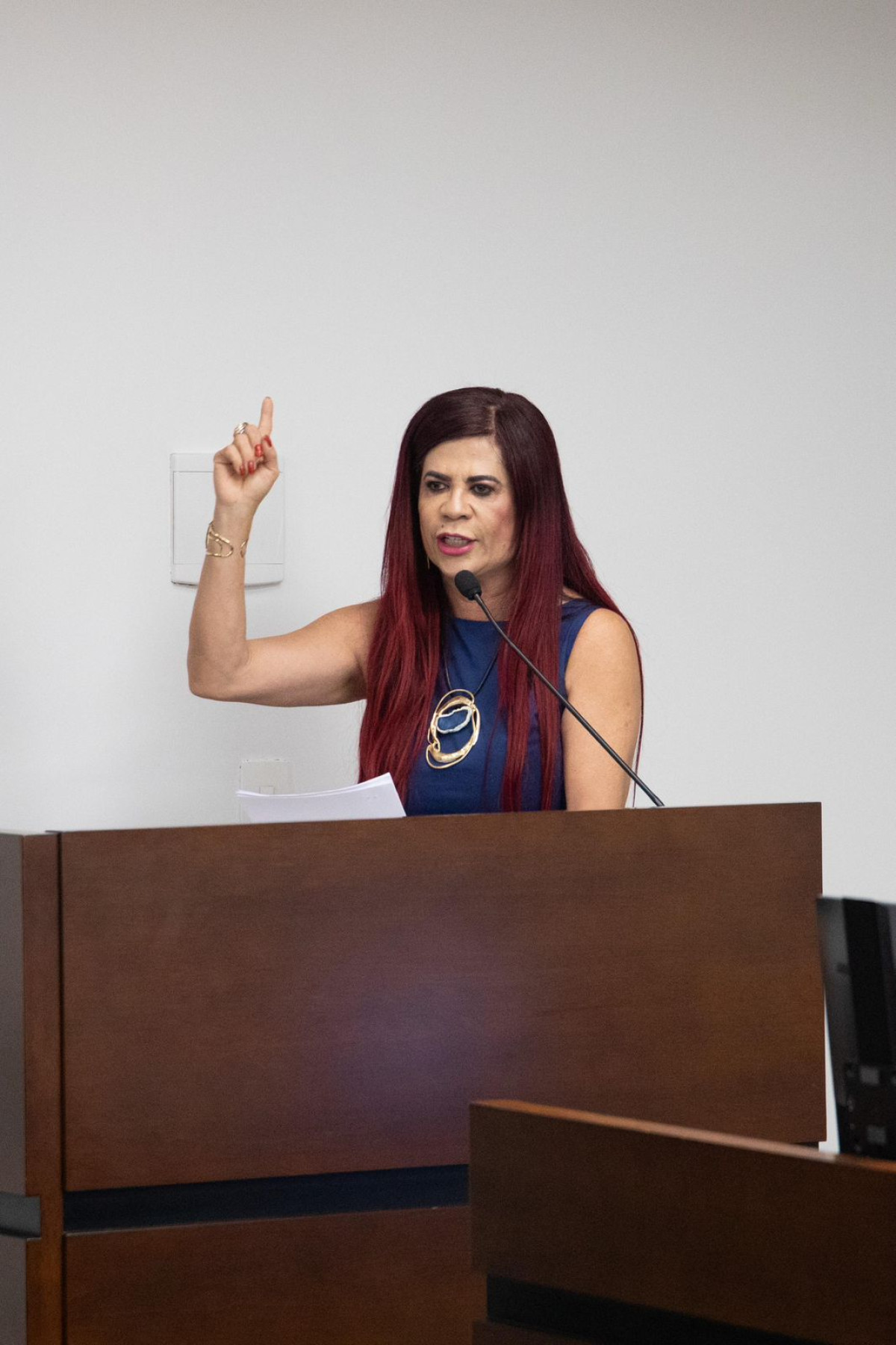 ALEPE discute rede de proteção às mulheres em Pernambuco
